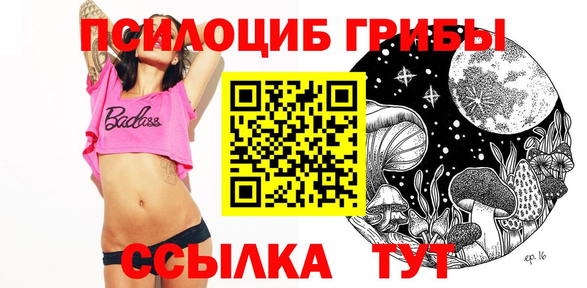 наркотики  Галлюциногенные грибы мицелий  Вход с VPN  Дзержинский  Псилоцибиновые грибы Psilocybe 