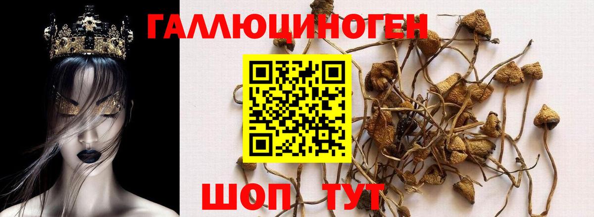 Галлюциногенные грибы MAGIC MUSHROOMS Дзержинский